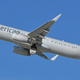 Illustration for article titled American Airlines Pilot Dies During Flight